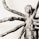 'Louise Bourgeois'