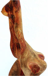 Jorge Berlato